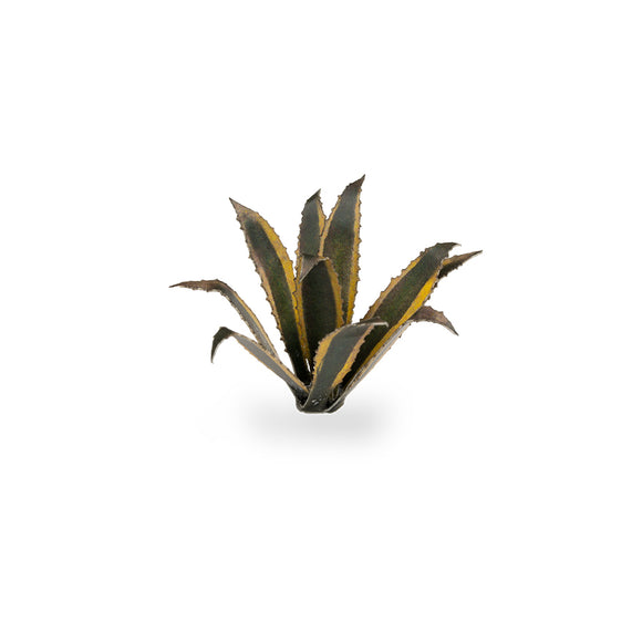 Gamers Grass: Laser Plants - Agave