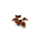 Gamers Grass: Laser Plants - Alien Flytrap-5