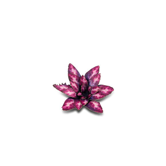 Gamers Grass: Laser Plants - Alien Rosette