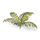 Gamers Grass: Laser Plants - Bracken-4