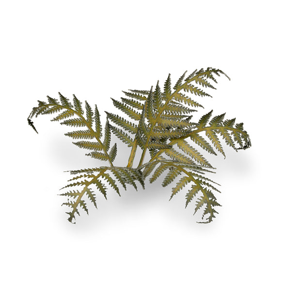 Gamers Grass: Laser Plants - Bracken
