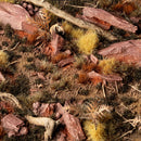 Burned 2mm - diorama