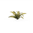 Gamers Grass: Laser Plants - Deer Fern-6