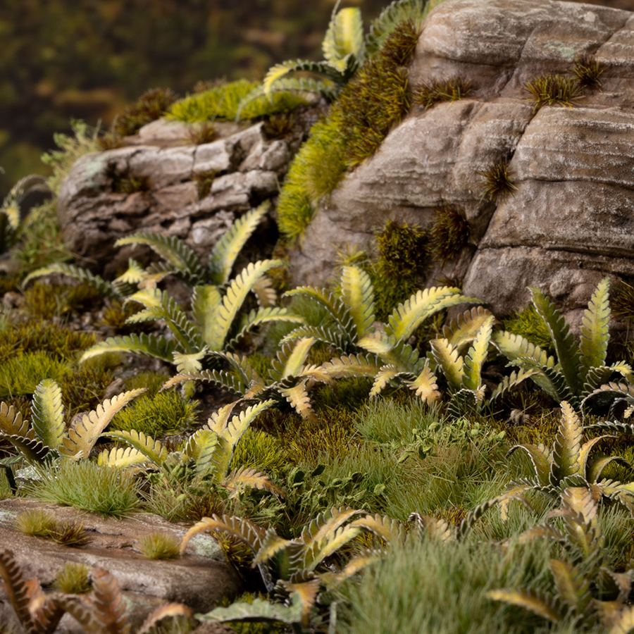 Gamers Grass: Laser Plants - Deer Fern