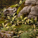 Gamers Grass: Laser Plants - Deer Fern-3