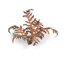 Gamers Grass: Laser Plants - Dry Bracken-4