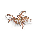Gamers Grass: Laser Plants - Dry Bracken-5