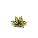 Gamers Grass: Laser Plants - Dumb Cane-5