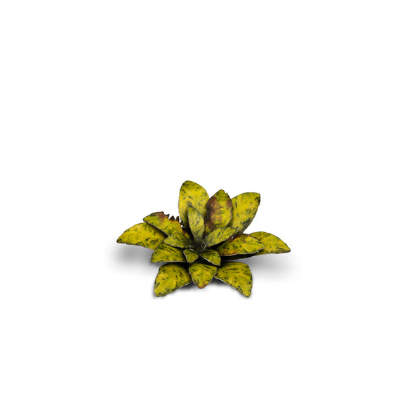 Gamers Grass: Laser Plants - Dumb Cane