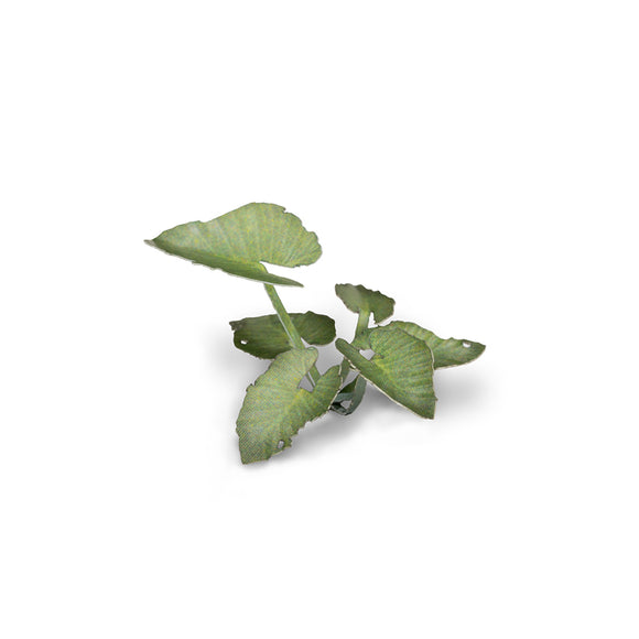 Gamers Grass: Laser Plants - Elephant Ear
