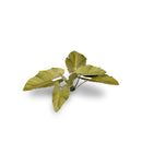 Gamers Grass: Laser Plants - Elephant Ear-4