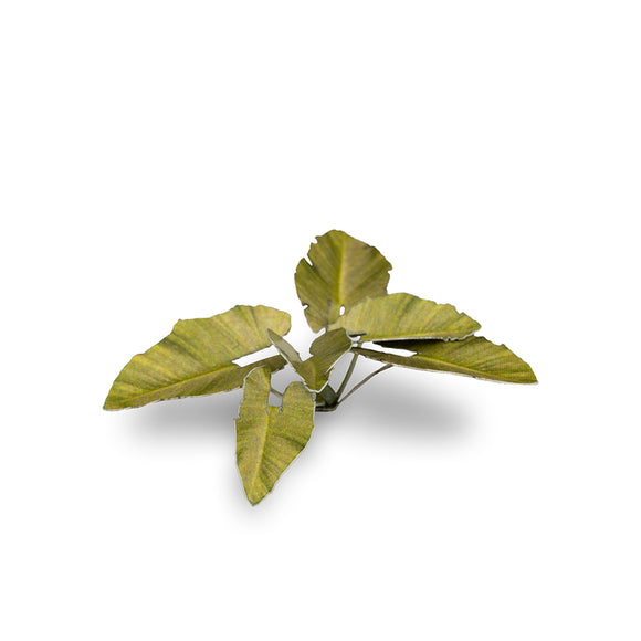 Gamers Grass: Laser Plants - Elephant Ear
