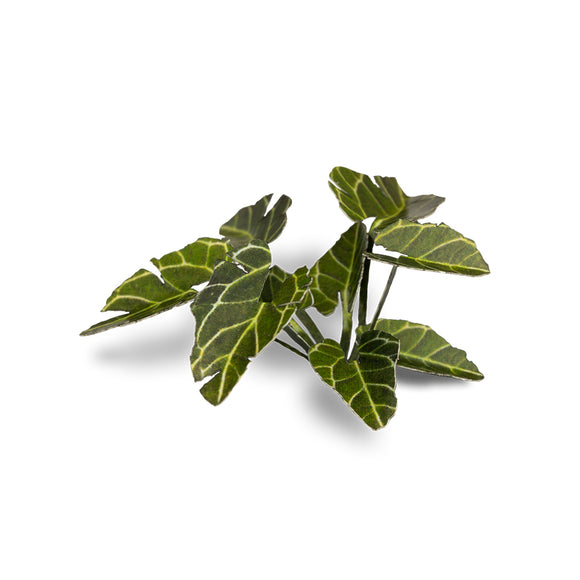 Gamers Grass: Laser Plants - Elephant Ear