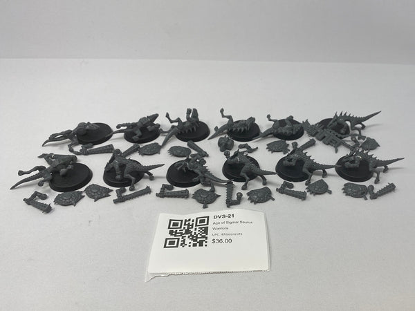 Age of Sigmar Saurus Warriors DVS-21