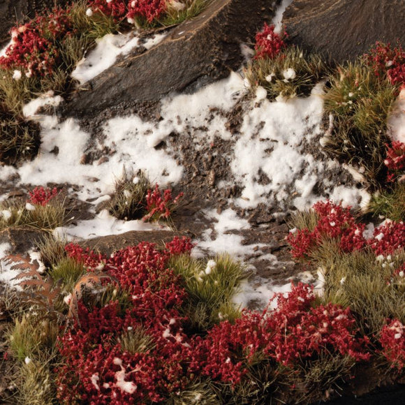 Laliguras Flowers - diorama