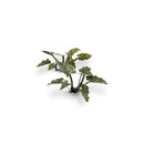 Gamers Grass: Laser Plants - Lords-and-Ladies-6