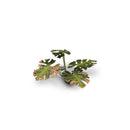 Gamers Grass: Laser Plants - Monstera-6