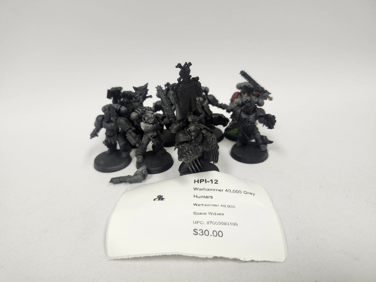 Warhammer 40,000 Grey Hunters HPI-12
