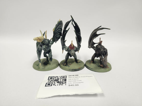 Age of Sigmar Crypt Flayers HCB-09
