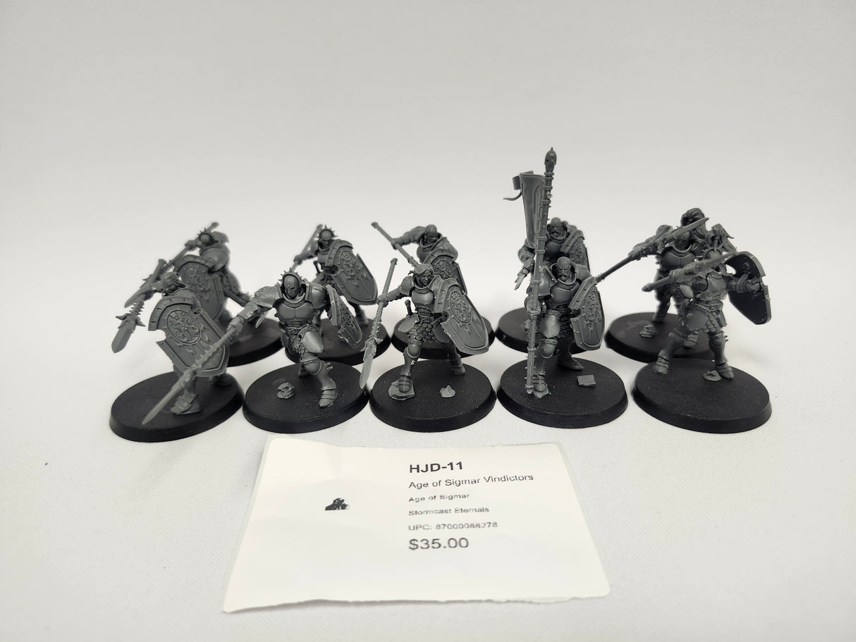 Age of Sigmar Vindictors HJD-11