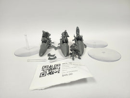 Warhammer 40,000 Shroud Runners HCL-16