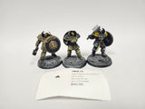 Age of Sigmar Annihilators HKA-12