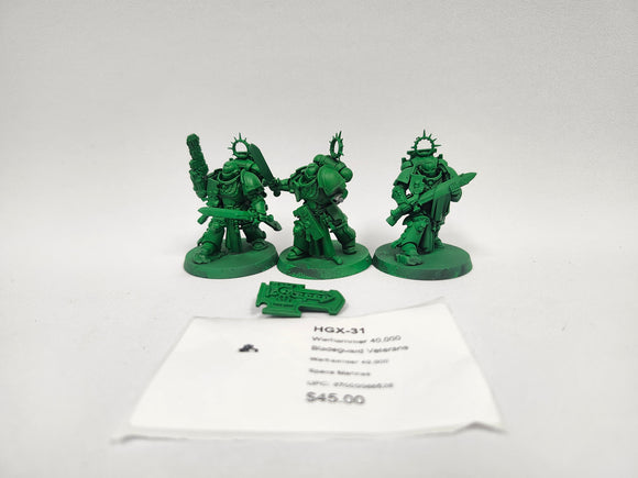 Warhammer 40,000 Bladeguard Veterans HGX-31