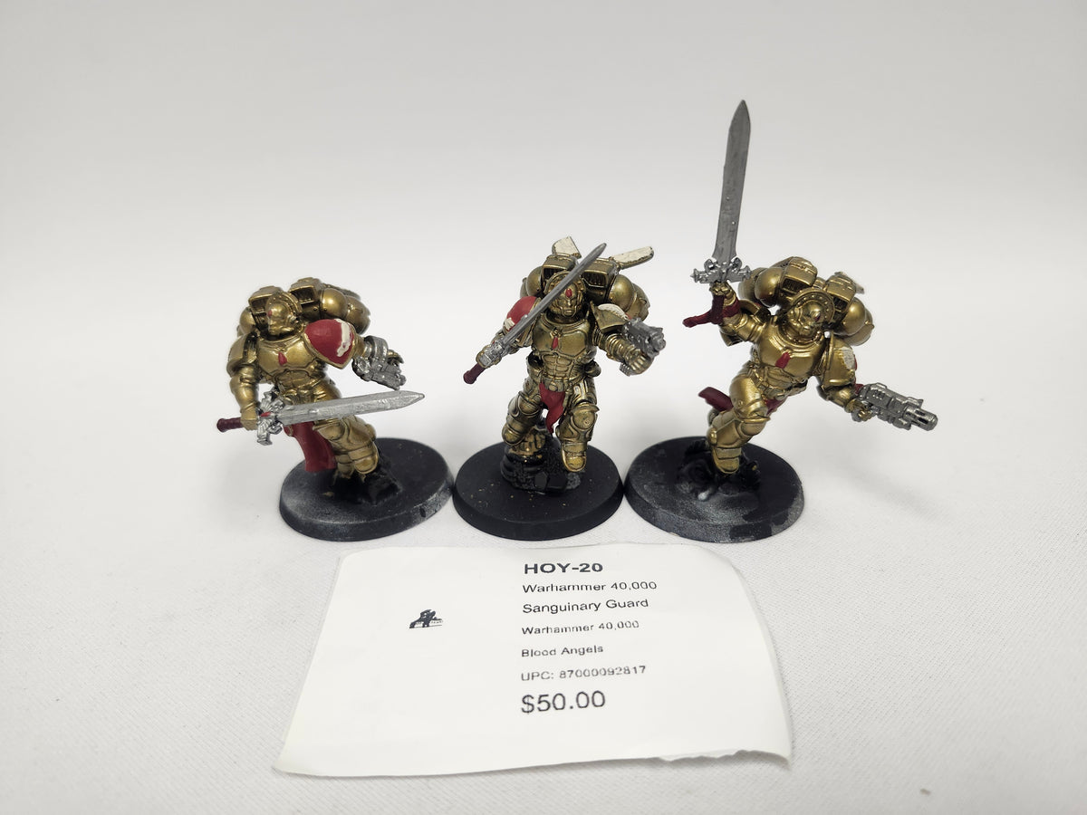 Warhammer 40,000 Sanguinary Guard HOY-20