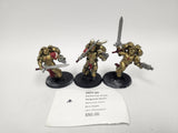 Warhammer 40,000 Sanguinary Guard HOY-20