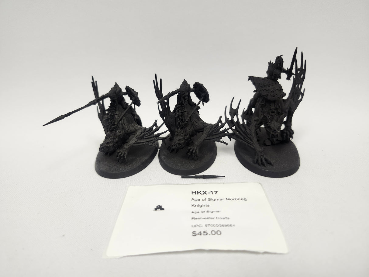 Age of Sigmar Morbheg Knights HKX-17