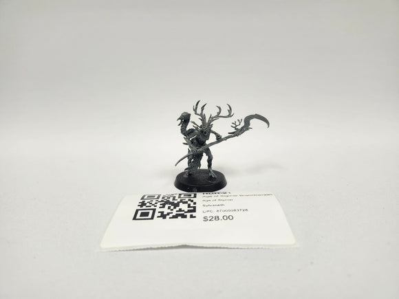 Age of Sigmar Branchwraith HDH-21