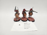 Warhammer 40,000 Serberys Raiders HIX-02