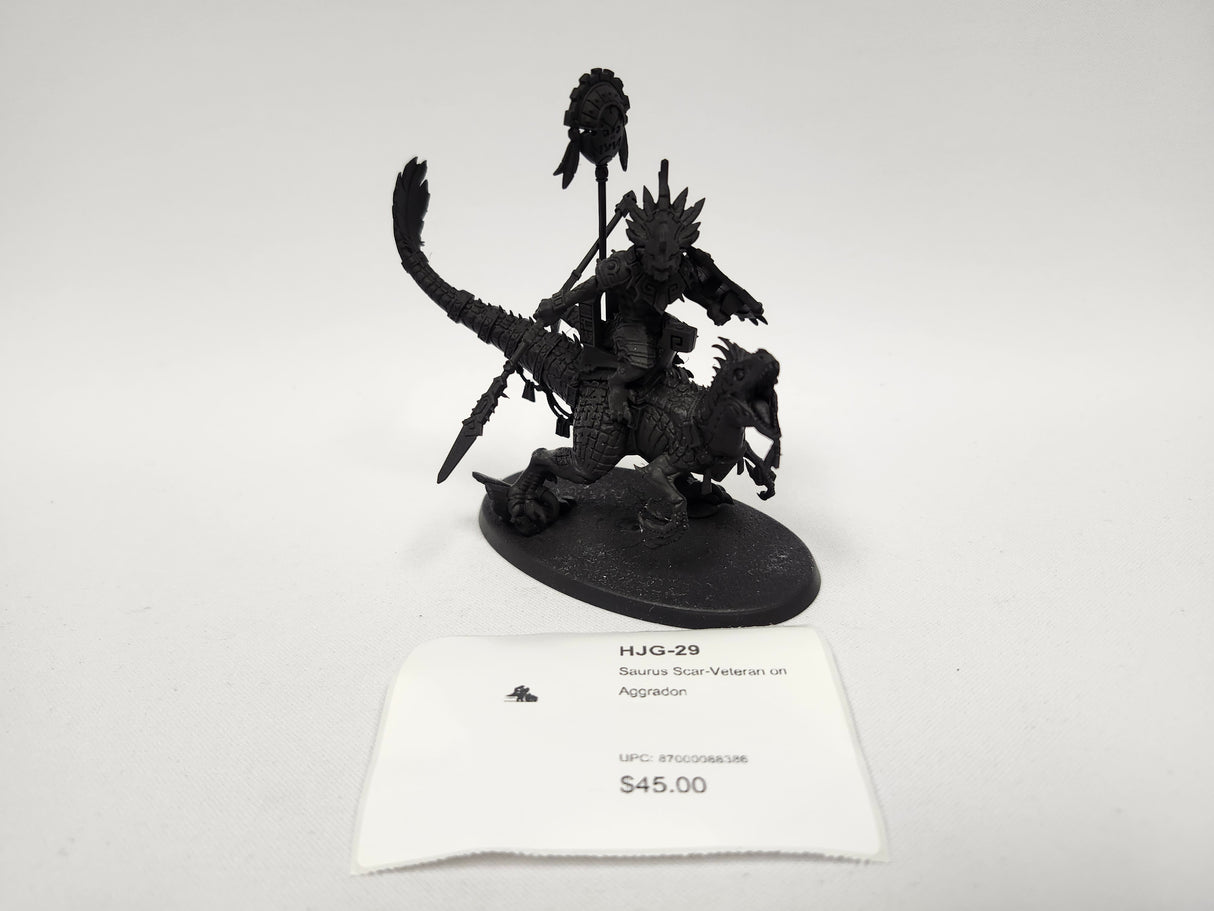 Saurus Scar-Veteran on Aggradon HJG-29
