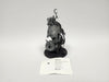 Age of Sigmar Loonboss On Mangler Squigs HNH-13