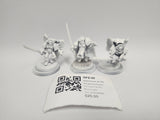 Warhammer 40,000 Sanguinary Guard GFZ-29