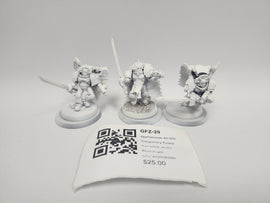 Warhammer 40,000 Sanguinary Guard GFZ-29