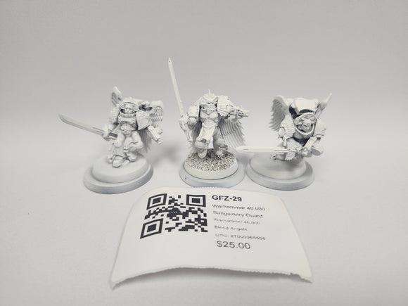 Warhammer 40,000 Sanguinary Guard GFZ-29