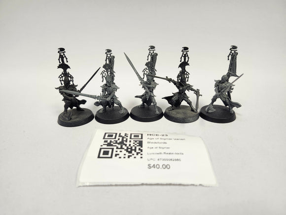 Age of Sigmar Vanari Bladelords HCE-23
