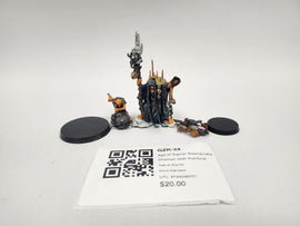 Age of Sigmar Swampcalla Shaman With Pot-Grot GZK-24