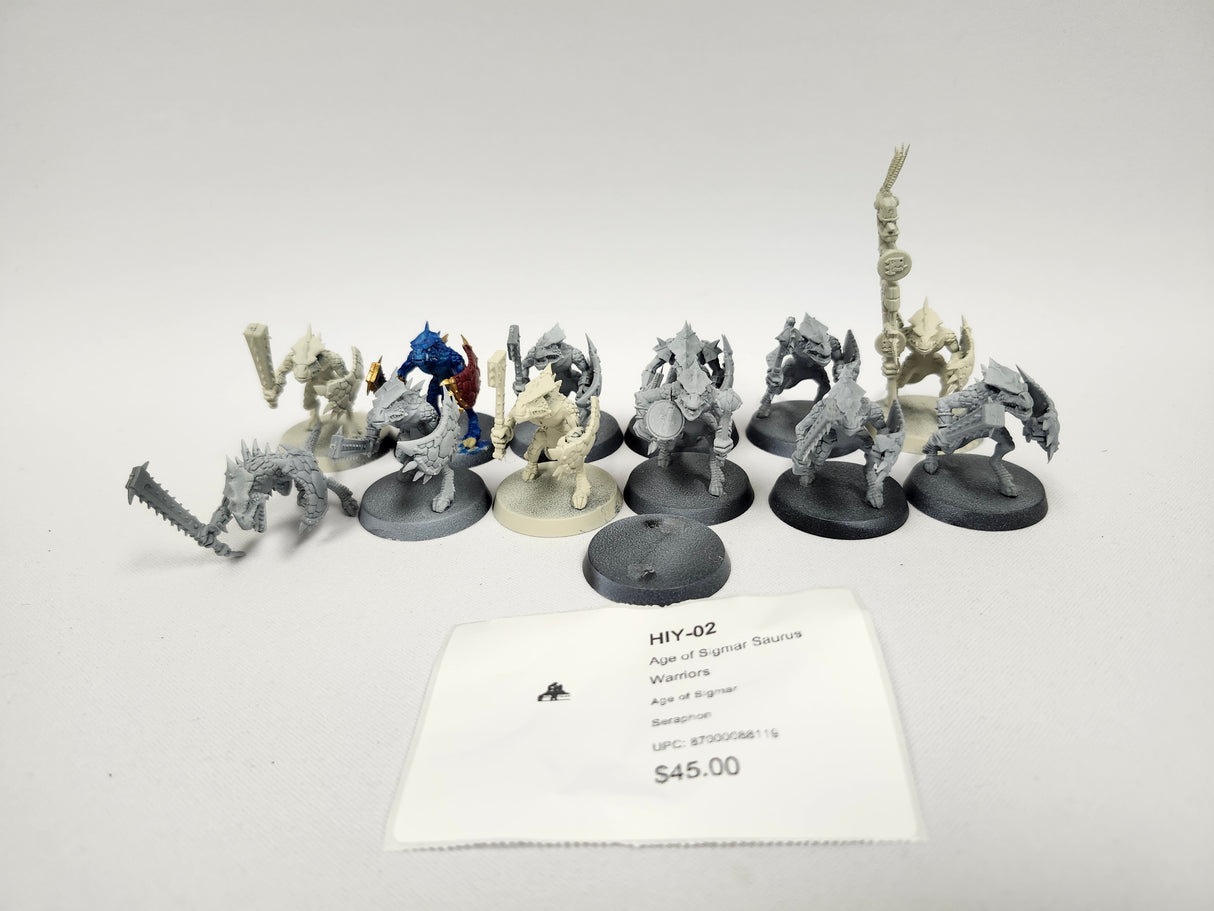 Age of Sigmar Saurus Warriors HIY-02