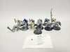 Age of Sigmar Saurus Warriors HIY-02