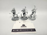 Age of Sigmar Kurnoth Hunters HQN-26