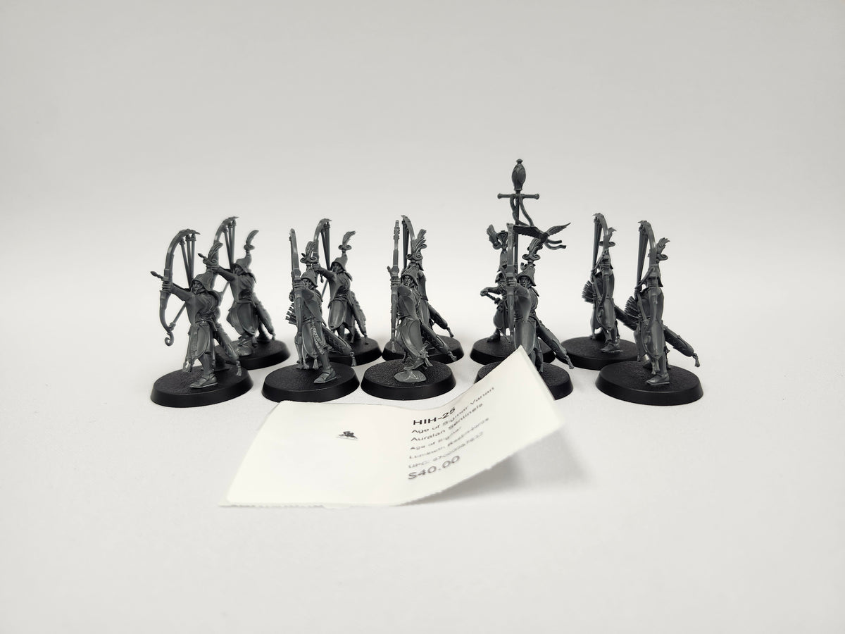 Age of Sigmar Vanari Auralan Sentinels HIH-25