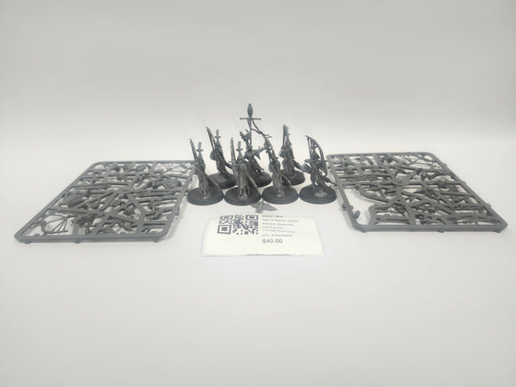 Age of Sigmar Vanari Auralan Sentinels HCF-03