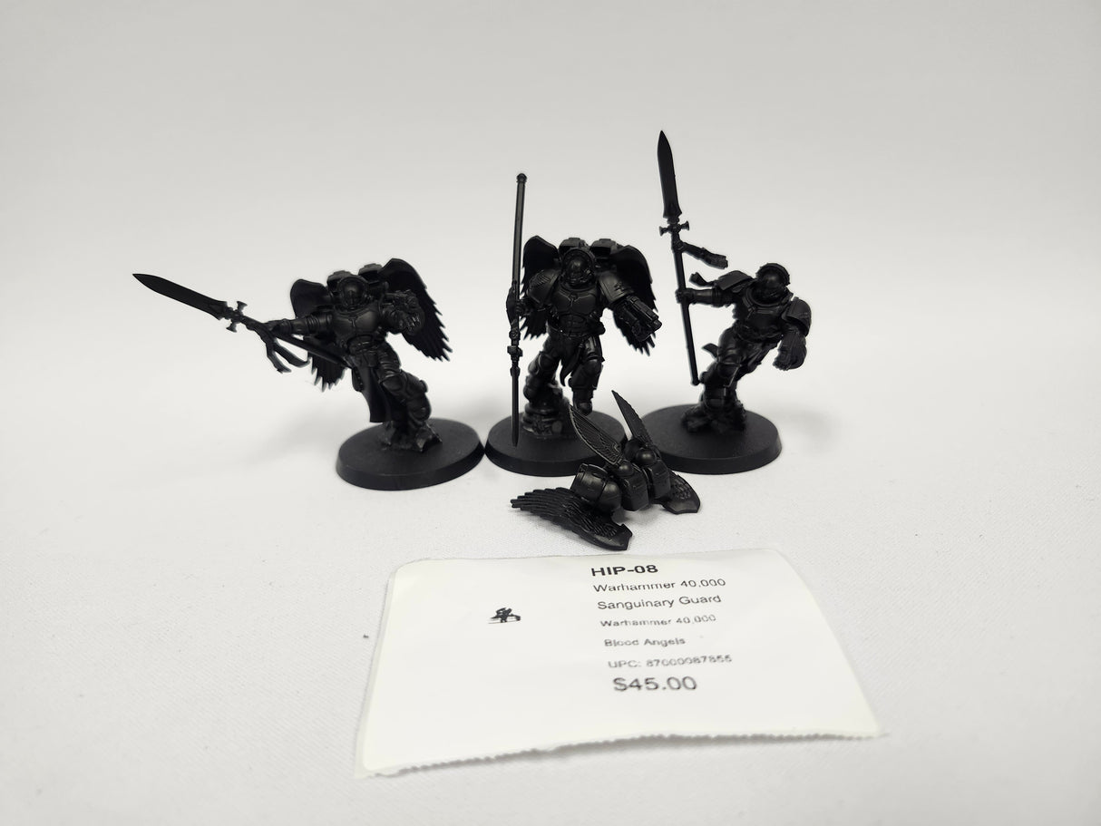 Warhammer 40,000 Sanguinary Guard HIP-08
