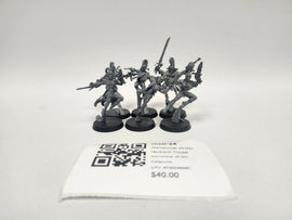 Warhammer 40,000 Harlequin Troupe HGD-24
