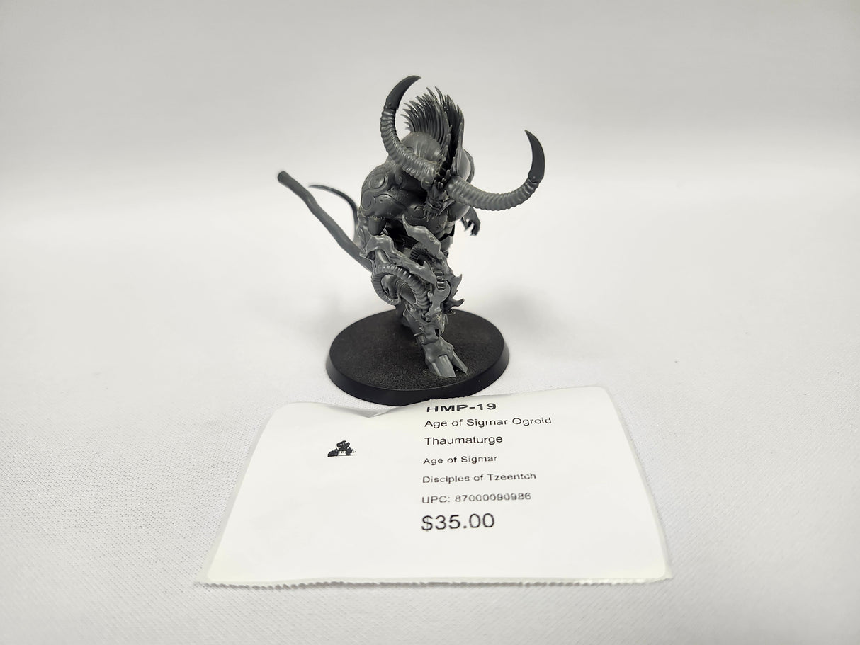 Age of Sigmar Ogroid Thaumaturge HMP-19