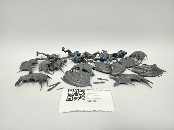 Age of Sigmar Crypt Flayers HGG-03