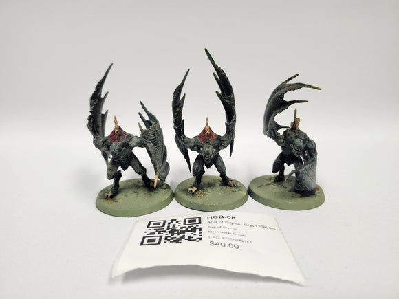 Age of Sigmar Crypt Flayers HCB-08