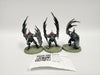 Age of Sigmar Crypt Flayers HCB-08